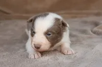 processed/78cdc925-6c7c-41a5-b2fc-1731e0a387a7/listing/1edcb3c0-c09c-4fa3-bf6b-4aaa8c5dbeed/a8c9d880-5fc2-43e9-ba98-2ce43c5ae05c