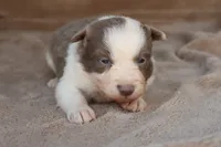 processed/78cdc925-6c7c-41a5-b2fc-1731e0a387a7/listing/1edcb3c0-c09c-4fa3-bf6b-4aaa8c5dbeed/f7955c30-372e-438b-8b58-b05cc2db4a43