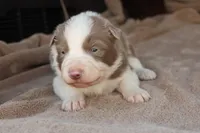 processed/78cdc925-6c7c-41a5-b2fc-1731e0a387a7/listing/6432f6d1-c61b-4be9-8d38-67a21b3d032e/3bbd3dd0-3dee-4df7-b7a0-adb21ced1806