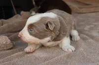 processed/78cdc925-6c7c-41a5-b2fc-1731e0a387a7/listing/6432f6d1-c61b-4be9-8d38-67a21b3d032e/3e3ebdcc-3f5d-469a-b7c3-10197bbc3cf9