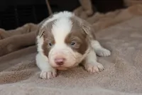 processed/78cdc925-6c7c-41a5-b2fc-1731e0a387a7/listing/6432f6d1-c61b-4be9-8d38-67a21b3d032e/5678e463-0918-4601-80da-89b0d90e42be