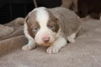 processed/78cdc925-6c7c-41a5-b2fc-1731e0a387a7/listing/6432f6d1-c61b-4be9-8d38-67a21b3d032e/85d357d7-1fee-40ec-9783-fc9a332b29d1