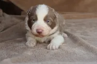 processed/78cdc925-6c7c-41a5-b2fc-1731e0a387a7/listing/6432f6d1-c61b-4be9-8d38-67a21b3d032e/9b589c3f-6b4f-4c84-9aee-94e762661ff8