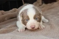 processed/78cdc925-6c7c-41a5-b2fc-1731e0a387a7/listing/6432f6d1-c61b-4be9-8d38-67a21b3d032e/e9832304-8039-497a-a26e-d2dcbb9aaa27