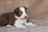 processed/78cdc925-6c7c-41a5-b2fc-1731e0a387a7/listing/ec0a294e-b780-402c-ab3b-794c88f2d70e/27165c4a-703e-4f8a-98d7-745df13abf7b