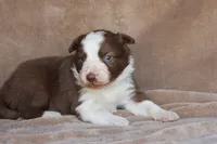 processed/78cdc925-6c7c-41a5-b2fc-1731e0a387a7/listing/ec0a294e-b780-402c-ab3b-794c88f2d70e/2dcab35a-c28f-4d86-9a04-fe459f3f7b8d