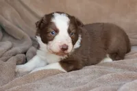 processed/78cdc925-6c7c-41a5-b2fc-1731e0a387a7/listing/ec0a294e-b780-402c-ab3b-794c88f2d70e/43b3d23e-7ba2-42e8-8212-b520eed0204e