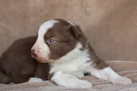 processed/78cdc925-6c7c-41a5-b2fc-1731e0a387a7/listing/ec0a294e-b780-402c-ab3b-794c88f2d70e/b648b600-7250-4782-8590-d9aac0831cc6