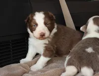 processed/78cdc925-6c7c-41a5-b2fc-1731e0a387a7/listing/ec0a294e-b780-402c-ab3b-794c88f2d70e/c513b4c3-26f1-4c06-875d-848d79b56f76