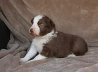 processed/78cdc925-6c7c-41a5-b2fc-1731e0a387a7/listing/ec0a294e-b780-402c-ab3b-794c88f2d70e/d87d5501-a83f-4bea-8f5e-d65bd977f745