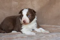 processed/78cdc925-6c7c-41a5-b2fc-1731e0a387a7/listing/ec0a294e-b780-402c-ab3b-794c88f2d70e/edb564cd-c166-47d1-b871-d57424062e73