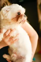 processed/78cf8d01-73f8-4448-adc6-a7c175aee5d2/listing/334639da-5d27-4871-aa30-dc18d2c10442/1b5b3764-ae12-44de-ba98-2aa1eada35a6