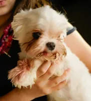 processed/78cf8d01-73f8-4448-adc6-a7c175aee5d2/listing/334639da-5d27-4871-aa30-dc18d2c10442/1c00ae85-acc8-4fca-83f7-e4f14db5545b