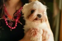 processed/78cf8d01-73f8-4448-adc6-a7c175aee5d2/listing/334639da-5d27-4871-aa30-dc18d2c10442/33d73a64-f64e-46c8-9d43-20bf6f74035d