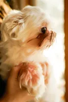 processed/78cf8d01-73f8-4448-adc6-a7c175aee5d2/listing/334639da-5d27-4871-aa30-dc18d2c10442/64e5a19b-c093-494c-94b1-13a6570d17b7