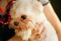 processed/78cf8d01-73f8-4448-adc6-a7c175aee5d2/listing/334639da-5d27-4871-aa30-dc18d2c10442/7ee87329-2cbe-48dd-bc13-978d11cd17b3