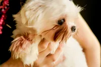 processed/78cf8d01-73f8-4448-adc6-a7c175aee5d2/listing/334639da-5d27-4871-aa30-dc18d2c10442/b8bf10c1-5c49-48af-90c0-39985d78e290