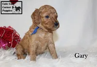 processed/78d2a380-033b-4bc9-8719-212b92773731/listing/0f140d0e-bd24-4414-9d98-20f1a30d8baa/107e1d2a-971d-474d-b4e2-6823ee693fd1