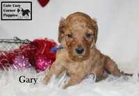 processed/78d2a380-033b-4bc9-8719-212b92773731/listing/0f140d0e-bd24-4414-9d98-20f1a30d8baa/3145c6ab-23c0-49ac-a963-65a3457cb035