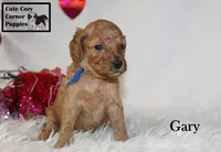 processed/78d2a380-033b-4bc9-8719-212b92773731/listing/0f140d0e-bd24-4414-9d98-20f1a30d8baa/4cdca469-1bc9-40db-b570-045e8950af69