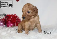 processed/78d2a380-033b-4bc9-8719-212b92773731/listing/0f140d0e-bd24-4414-9d98-20f1a30d8baa/4ec69d6e-7cda-45c5-9386-52b757dcb58b