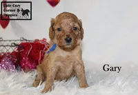 processed/78d2a380-033b-4bc9-8719-212b92773731/listing/0f140d0e-bd24-4414-9d98-20f1a30d8baa/73f648de-ae32-4d80-9205-5b2089d781ee