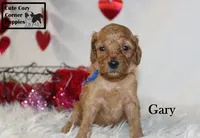 processed/78d2a380-033b-4bc9-8719-212b92773731/listing/0f140d0e-bd24-4414-9d98-20f1a30d8baa/8ce32545-bb5b-493a-bc96-db7b5efc3408