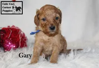 processed/78d2a380-033b-4bc9-8719-212b92773731/listing/0f140d0e-bd24-4414-9d98-20f1a30d8baa/9967baef-ef35-447c-9cf7-7ec01f7ede53