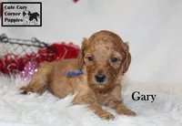 processed/78d2a380-033b-4bc9-8719-212b92773731/listing/0f140d0e-bd24-4414-9d98-20f1a30d8baa/be8f004c-32bb-459d-b993-5b0651d956c3