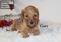 processed/78d2a380-033b-4bc9-8719-212b92773731/listing/0f140d0e-bd24-4414-9d98-20f1a30d8baa/fb44df4c-f081-4bc4-936c-9fcf23da85be