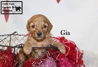 processed/78d2a380-033b-4bc9-8719-212b92773731/listing/22239743-3458-4ec0-a93a-f2d0b05104ef/2c558131-0615-4146-bc97-4ccdbfcbffb4