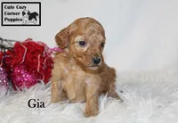 processed/78d2a380-033b-4bc9-8719-212b92773731/listing/22239743-3458-4ec0-a93a-f2d0b05104ef/551f6b2d-23b4-4df4-8876-59760424bc83