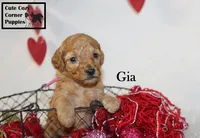 processed/78d2a380-033b-4bc9-8719-212b92773731/listing/22239743-3458-4ec0-a93a-f2d0b05104ef/615e11c2-c0a7-4dca-83af-ffef92437eef