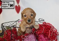 processed/78d2a380-033b-4bc9-8719-212b92773731/listing/22239743-3458-4ec0-a93a-f2d0b05104ef/6d208171-aa71-497f-a425-92f4f3f8540d