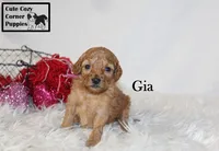 processed/78d2a380-033b-4bc9-8719-212b92773731/listing/22239743-3458-4ec0-a93a-f2d0b05104ef/789c2fdb-b114-4626-9fae-71b7e3055d60