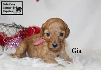 processed/78d2a380-033b-4bc9-8719-212b92773731/listing/22239743-3458-4ec0-a93a-f2d0b05104ef/b06186d8-b2a5-4720-b383-98742e74423b