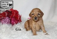 processed/78d2a380-033b-4bc9-8719-212b92773731/listing/22239743-3458-4ec0-a93a-f2d0b05104ef/d44c4326-ab05-4797-baf6-7bf6e914616f