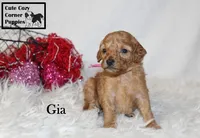 processed/78d2a380-033b-4bc9-8719-212b92773731/listing/22239743-3458-4ec0-a93a-f2d0b05104ef/f2d545e4-2b54-49b6-aa63-4a2db7f3983e