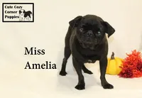 processed/78d2a380-033b-4bc9-8719-212b92773731/listing/48a82411-b186-4061-adbd-5177ad0609cf/20e667fd-7d40-4bc7-9e51-fb71909a6016