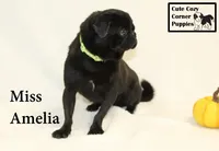 processed/78d2a380-033b-4bc9-8719-212b92773731/listing/48a82411-b186-4061-adbd-5177ad0609cf/342e36a1-2eba-492a-ae9b-5d7e61eab3da