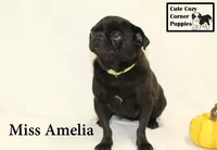 processed/78d2a380-033b-4bc9-8719-212b92773731/listing/48a82411-b186-4061-adbd-5177ad0609cf/49c7d15d-e976-4783-ba1f-9466bac24103