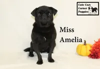 processed/78d2a380-033b-4bc9-8719-212b92773731/listing/48a82411-b186-4061-adbd-5177ad0609cf/a00a91bb-1514-4689-9091-ff955a36330b