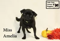 processed/78d2a380-033b-4bc9-8719-212b92773731/listing/48a82411-b186-4061-adbd-5177ad0609cf/bb348754-ae8d-4d92-b9ce-f2c318b21813