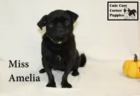 processed/78d2a380-033b-4bc9-8719-212b92773731/listing/48a82411-b186-4061-adbd-5177ad0609cf/c2da51a7-9e6e-4e4a-97d2-411247919358