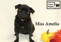 processed/78d2a380-033b-4bc9-8719-212b92773731/listing/48a82411-b186-4061-adbd-5177ad0609cf/dfc67917-0348-4406-8681-41a47d93c945