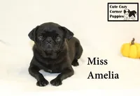 processed/78d2a380-033b-4bc9-8719-212b92773731/listing/48a82411-b186-4061-adbd-5177ad0609cf/eae4b852-b8e3-43b5-8744-fac5244633c4