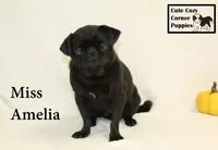 processed/78d2a380-033b-4bc9-8719-212b92773731/listing/48a82411-b186-4061-adbd-5177ad0609cf/f0e69a5c-ef23-40fa-84ce-2eeb6cfdfec9