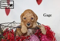 processed/78d2a380-033b-4bc9-8719-212b92773731/listing/7ce8a845-739d-4b92-bd62-5d2b8b6c5da3/12ea12df-e9e6-41a9-b45c-41d1c97cc818