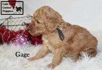 processed/78d2a380-033b-4bc9-8719-212b92773731/listing/7ce8a845-739d-4b92-bd62-5d2b8b6c5da3/963eff4a-6c4e-4a24-8b8d-434ff9785d87