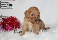 processed/78d2a380-033b-4bc9-8719-212b92773731/listing/7ce8a845-739d-4b92-bd62-5d2b8b6c5da3/a84c8c85-9592-444a-a4ed-4d2f0e01e2c4